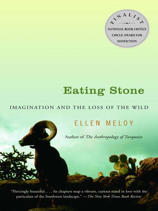 Cover image for Eating Stone